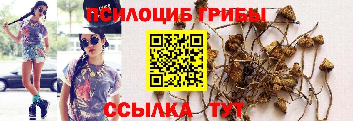 Псилоцибиновые грибы Magic Shrooms  Вход с VPN  Нижнеудинск 
