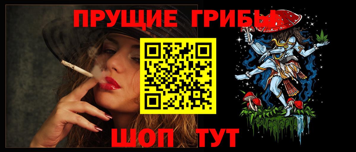 Псилоцибиновые грибы Psilocybe Нижнеудинск